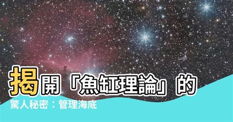 石頭磁帶理論|【石頭磁帶理論】石頭磁帶理論：揭開超自然現象中的幽靈歷史與。